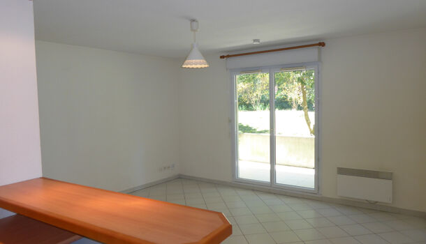 Appartement 1 pièces  à louer Montpellier 34000