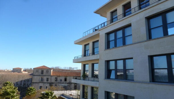 Appartement 3 pièces  à louer Montpellier 34000