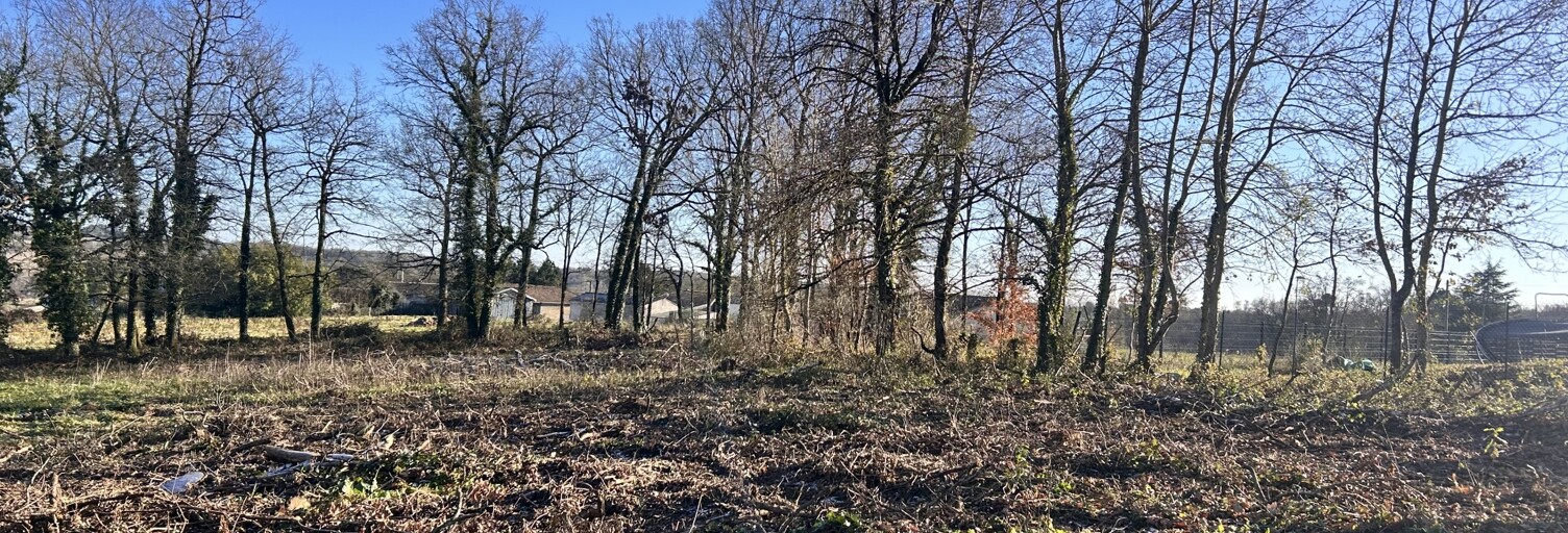 Terrain  3012 m² à vendre à Orignolles (17210)