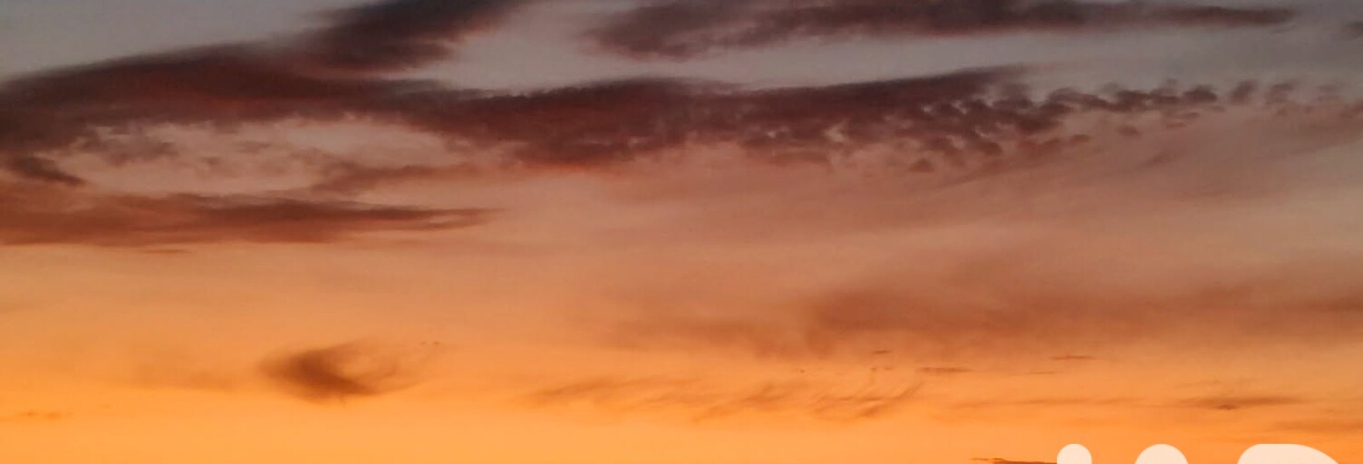 Appartement 3 Pièces 68 m² à vendre à Borgo (20290)