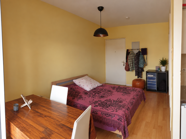 Studio - Balcon et parking - Quartier CHU — photo 1