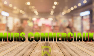 Divers  235 m² à vendre à Agde (34300)