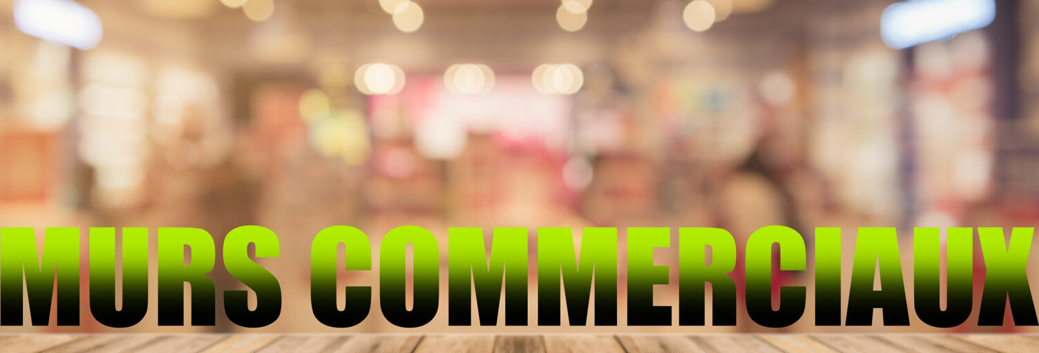 Divers  235 m² à vendre à Agde (34300)