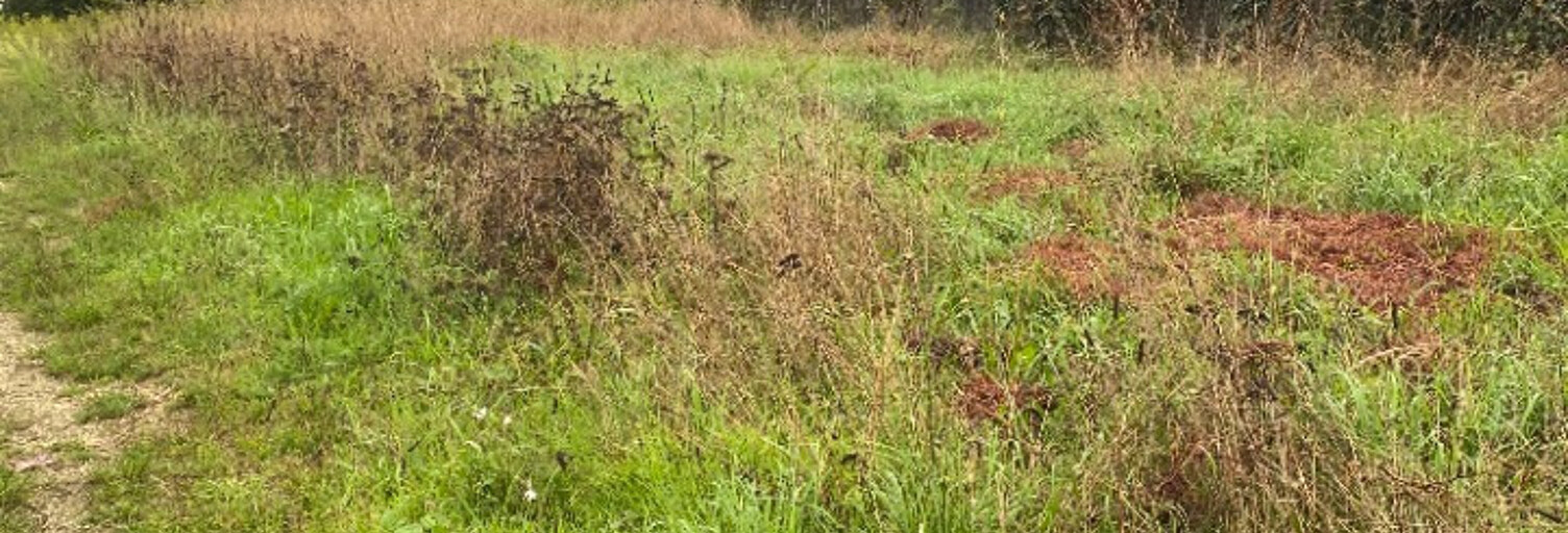 Terrain  450 m² à vendre à Blanquefort (33290)