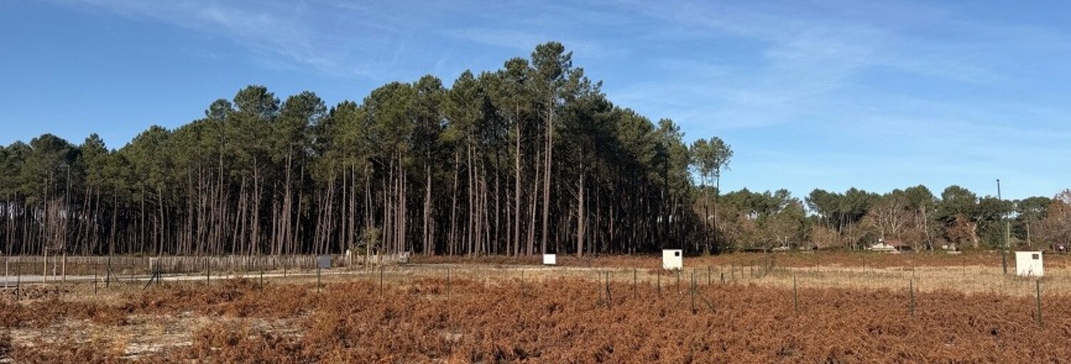 Terrain  580 m² à vendre à Vielle-Saint-Girons (40560)