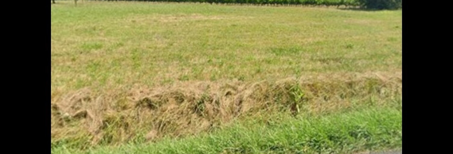 Terrain  1000 m² à vendre à Val-de-Livenne (33860)