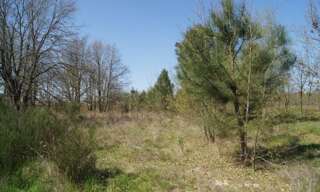 Terrain  900 m² à vendre à Le Barp (33114)