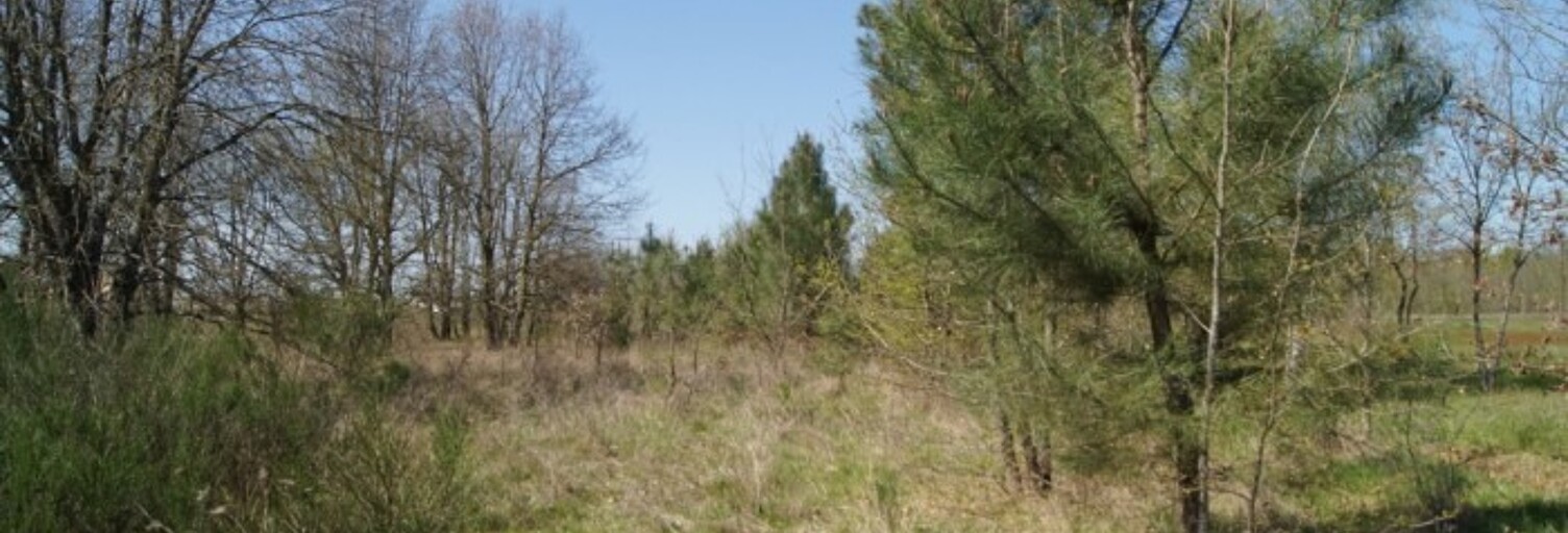 Terrain  900 m² à vendre à Le Barp (33114)