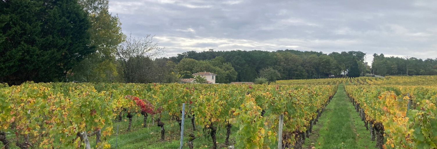 Terrain  1500 m² à vendre à Saint-Sauveur-de-Puynormand (33660)