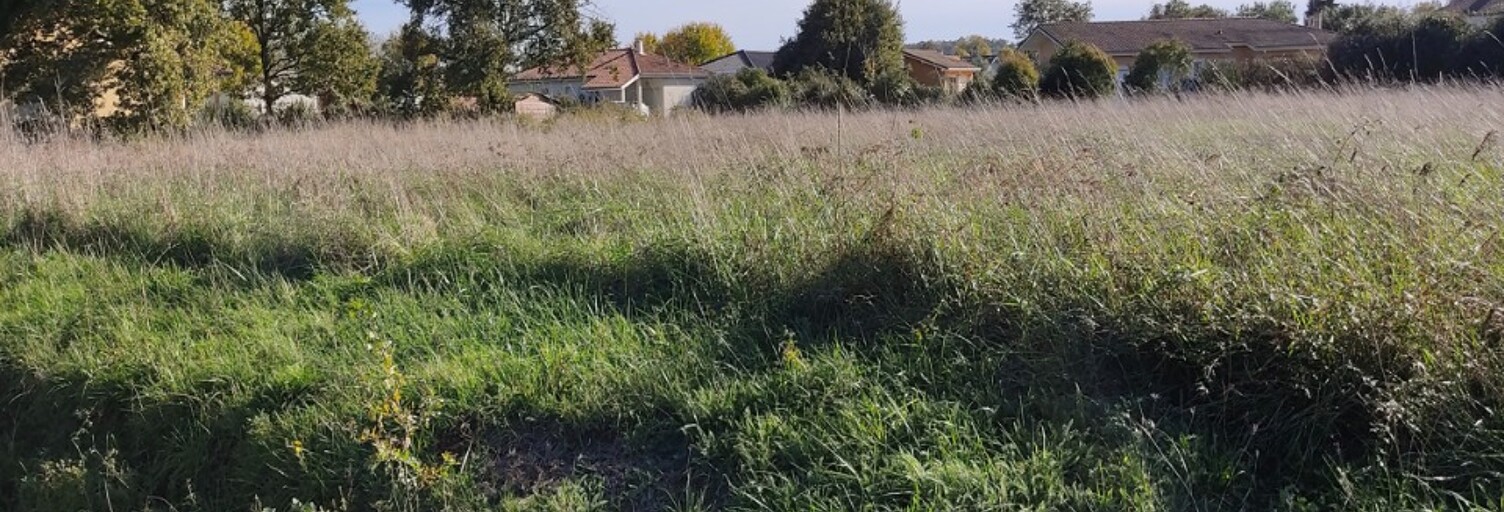 Terrain  565 m² à vendre à Saint-Perdon (40090)