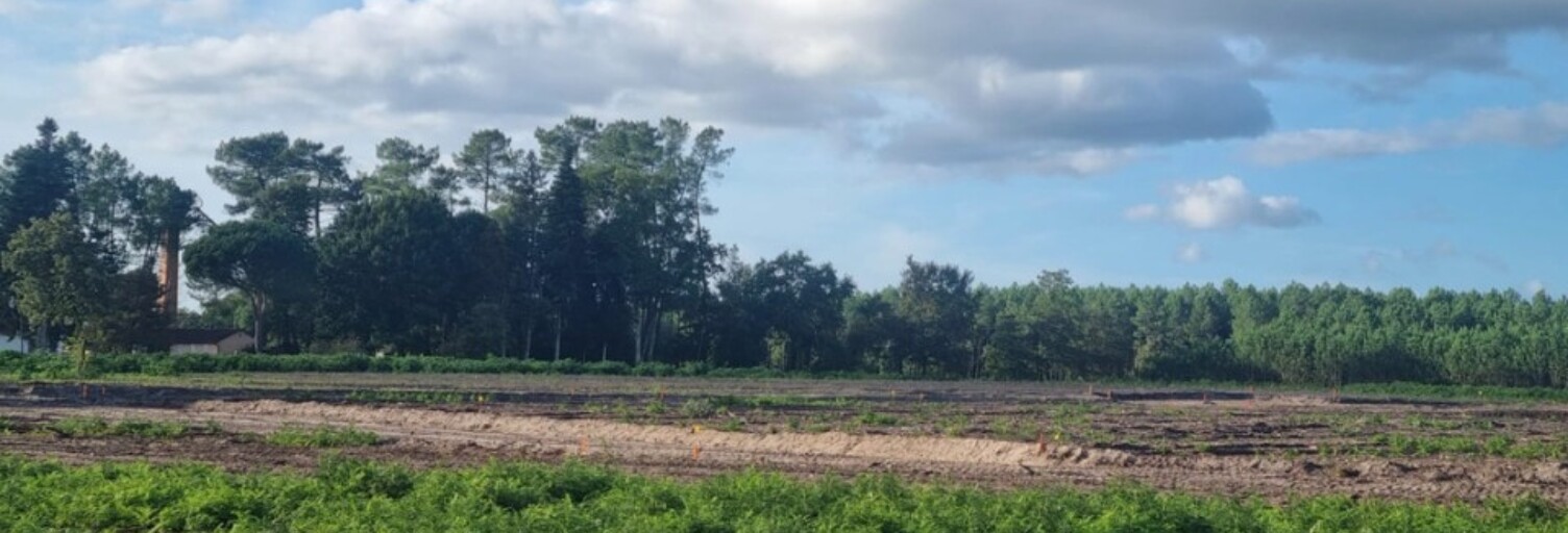 Terrain  926 m² à vendre à Laluque (40465)