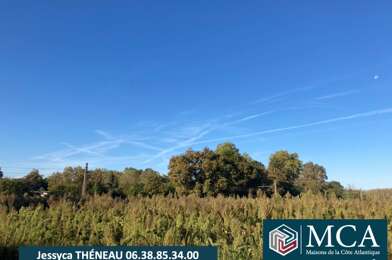 Terrain  82000 €