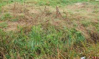 Terrain  500 m² à vendre à Laruscade (33620)