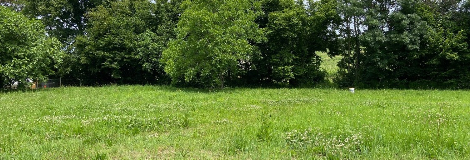 Terrain  600 m² à vendre à Créon (33670)