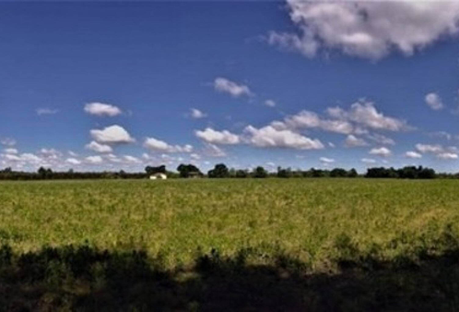 Terrain agricole plat d'un seul tenant de 11,93 hectares — photo 1