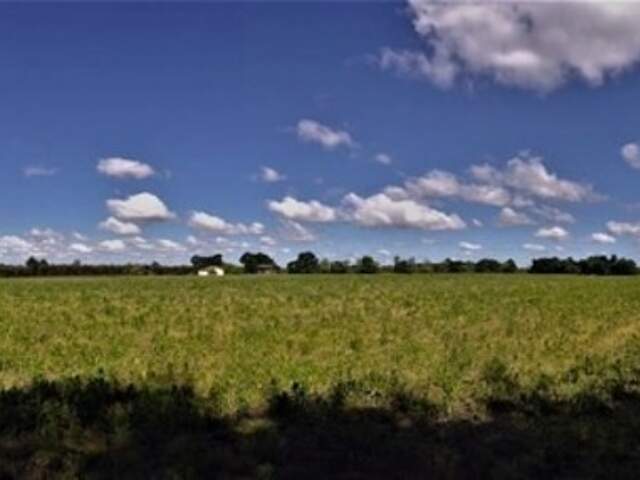 Terrain agricole plat d'un seul tenant de 11,93 hectares — photo du bien