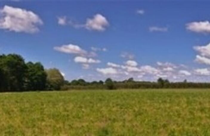 Terrain agricole plat d'un seul tenant de 11,93 hectares — photo 3