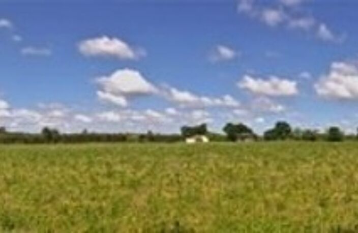 Terrain agricole plat d'un seul tenant de 11,93 hectares — photo 4