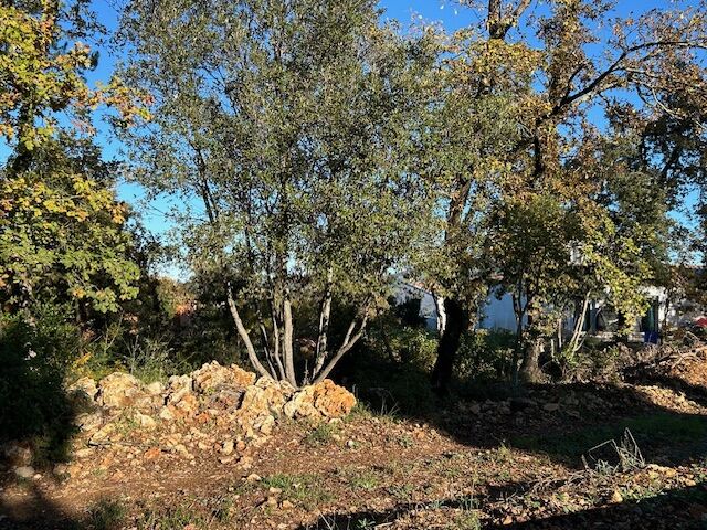 Terrain  à vendre Néoules 83136