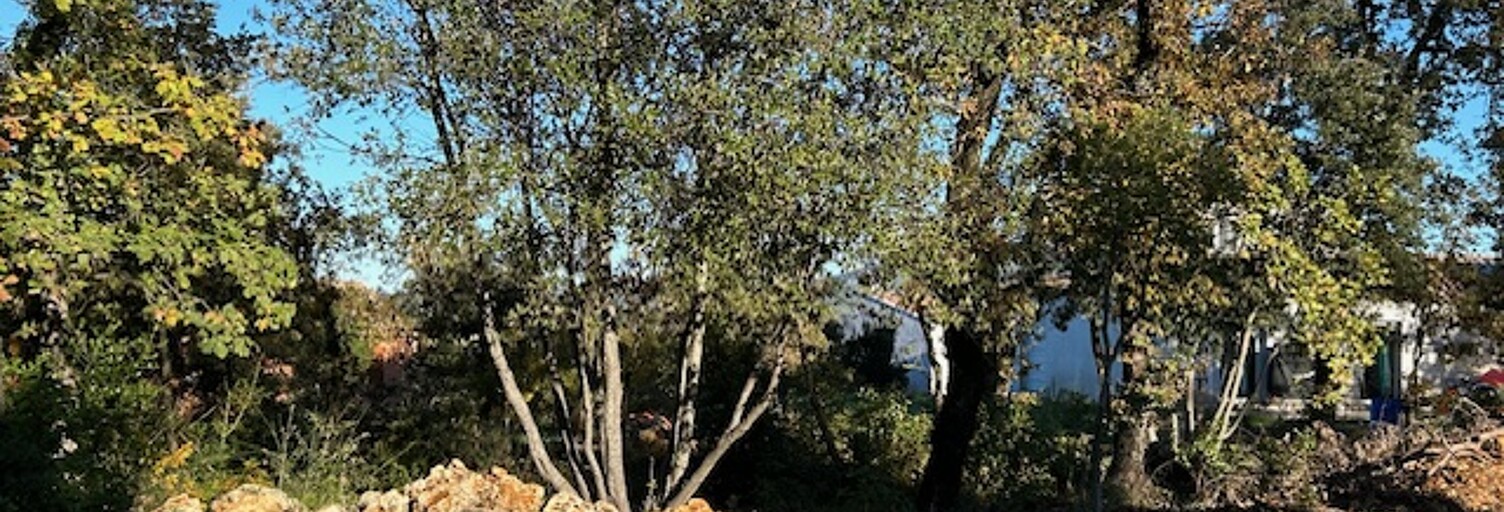 Terrain 1160 m² à construire Néoules (83136)