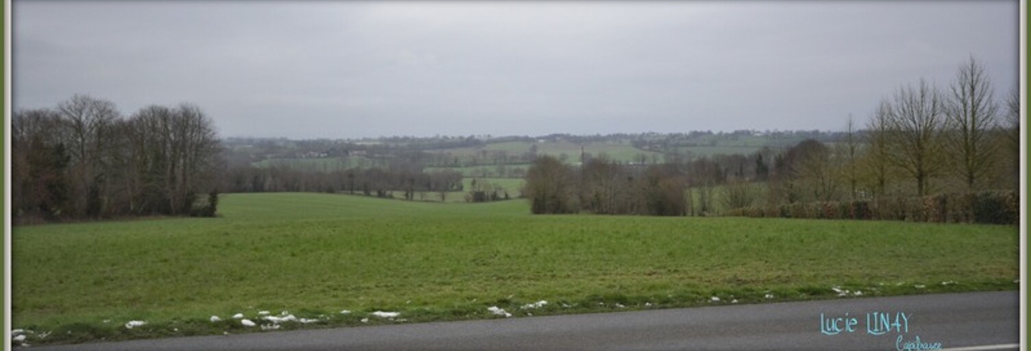 Photo N° 2