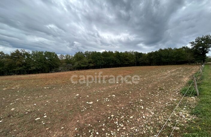 Terrain à vendre  16300m² SAINT PANTALY D'EXCIDEUIL (24) — photo 2