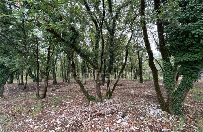 Terrain à vendre  16300m² SAINT PANTALY D'EXCIDEUIL (24) — photo 3