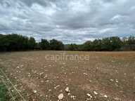 Terrain à vendre  16300m² SAINT PANTALY D'EXCIDEUIL (24) — photo 4