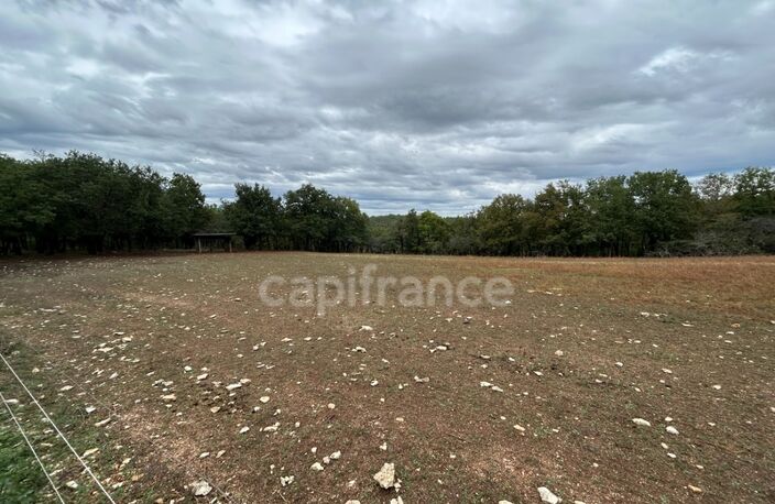 Terrain à vendre  16300m² SAINT PANTALY D'EXCIDEUIL (24) — photo 4