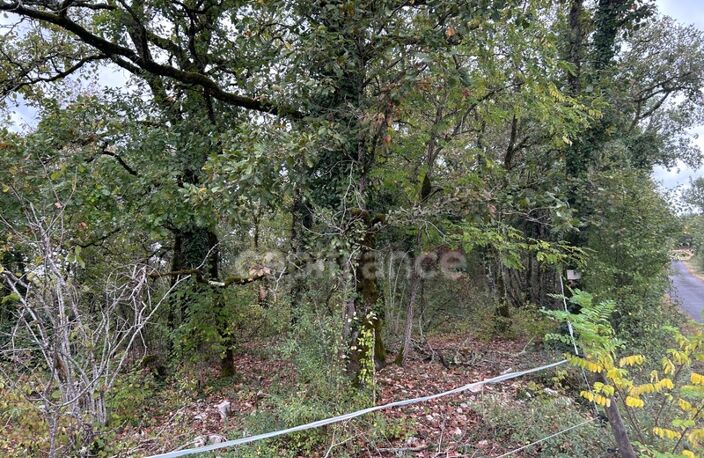 Terrain à vendre  16300m² SAINT PANTALY D'EXCIDEUIL (24) — photo 5