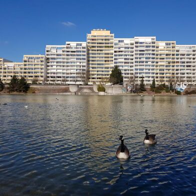 Appartement 2 pièces 900 €