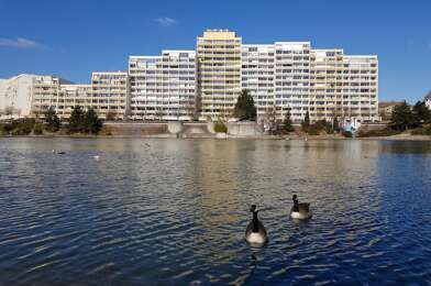 Appartement 2 pièces 700 €