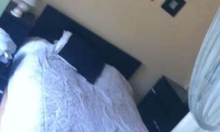 Appartement 2 Pièces 47 m² à louer à Talant (21240)