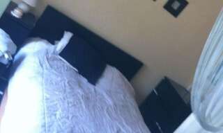 Appartement 2 Pièces 47 m² à louer à Talant (21240)