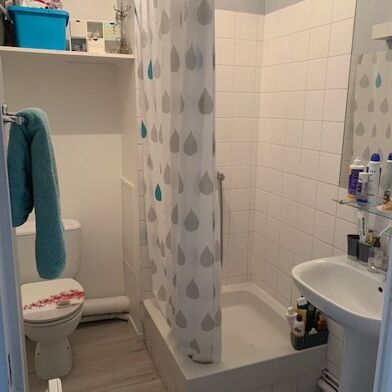 Appartement 1 pièces 520 €