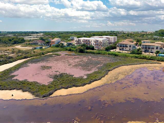 Appartement Neuf T2 entre étangs et salins — photo du bien