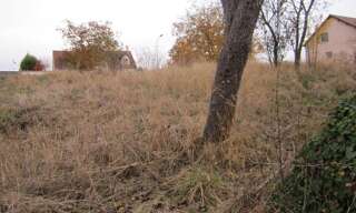 Terrain  1278 m² à vendre à Venouse (89230)