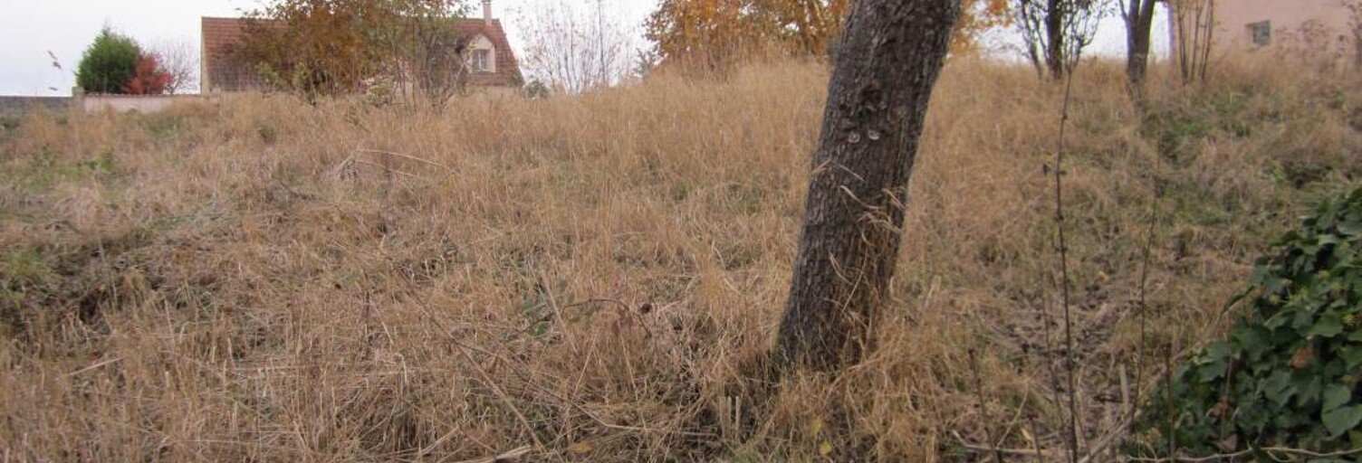 Terrain  1278 m² à vendre à Venouse (89230)