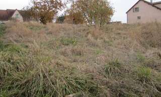 Terrain  1278 m² à vendre à Venouse (89230)