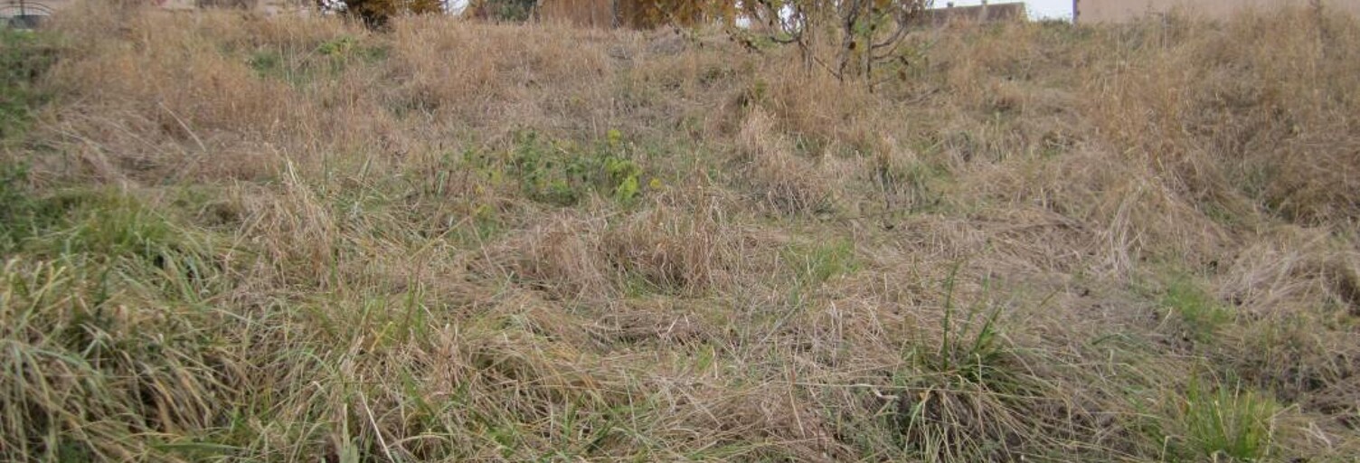 Terrain  1278 m² à vendre à Venouse (89230)