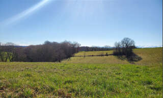 Terrain  9010 m² à vendre à Marciac (32230)