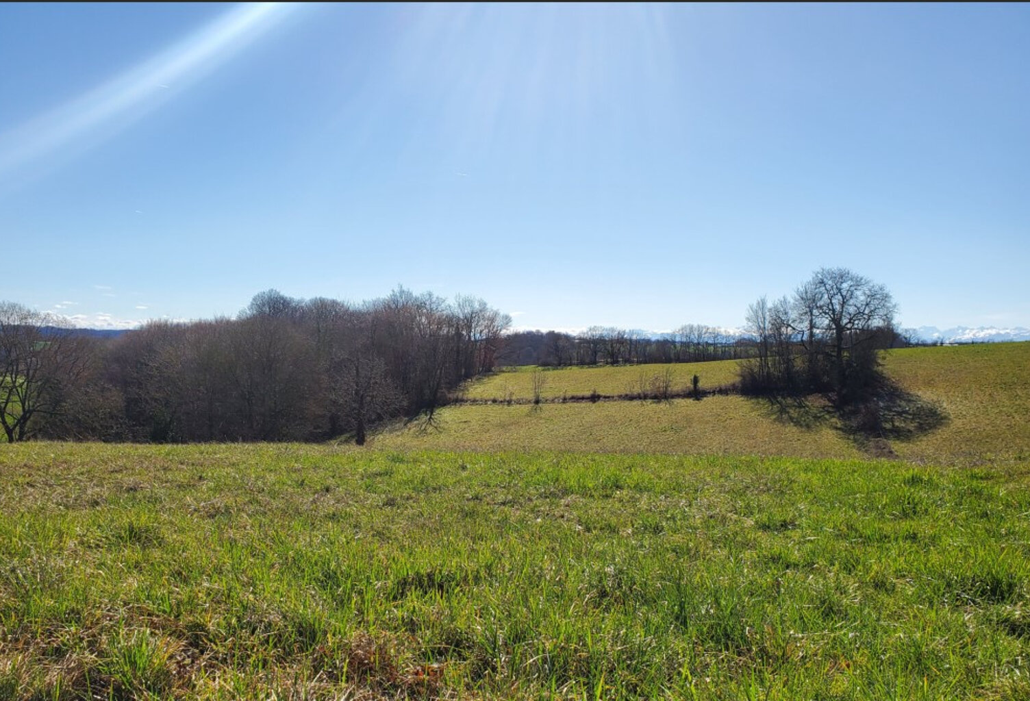 Terrain Marciac 9010 m2 — photo 1