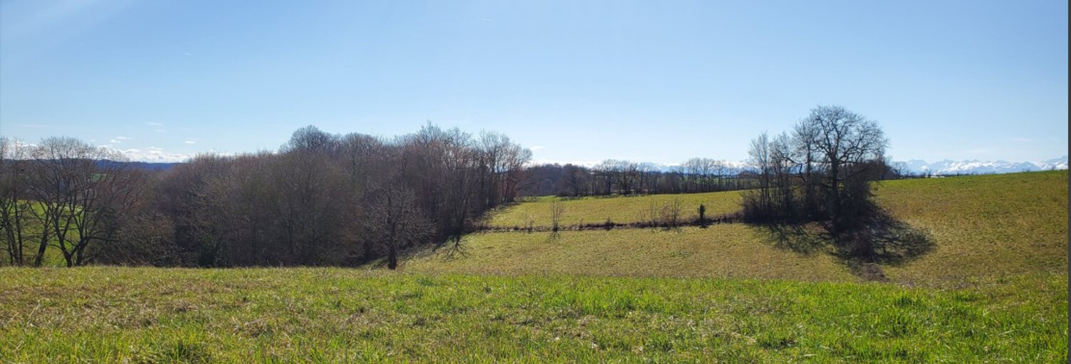 Terrain  9010 m² à vendre à Marciac (32230)