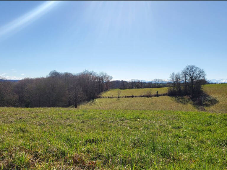Terrain Marciac 9010 m2 — photo 1