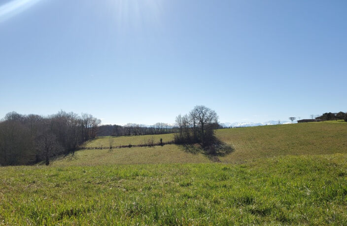 Terrain Marciac 9010 m2 — photo 2