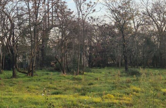 LEGUEVIN - TERRAIN PLAT de 3454 m2 — photo 2