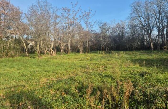 LEGUEVIN - TERRAIN PLAT de 3454 m2 — photo 3