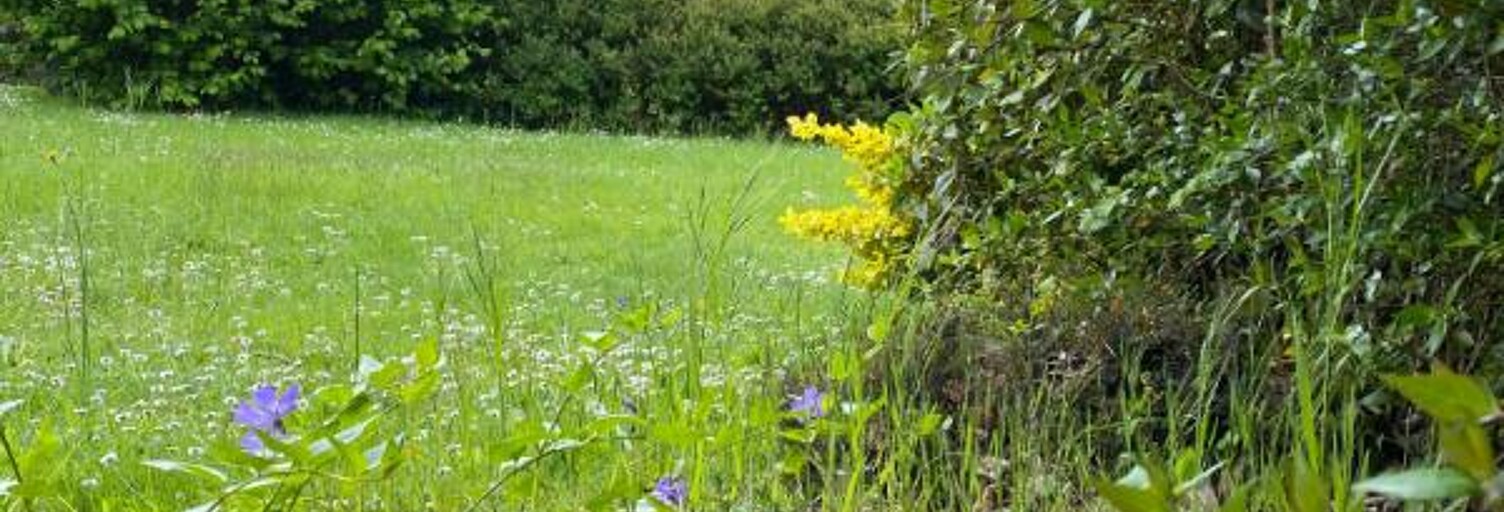 Terrain  521 m² à vendre à Séné (56860)