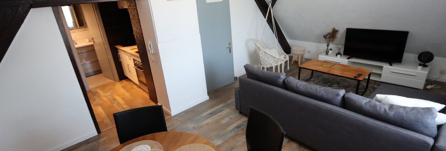 Appartement 2 Pièces 34 m² à louer à Bartenheim (68870)