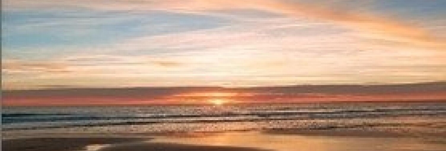 Commerce 3 Pièces 130 m² à vendre à La Tranche-sur-Mer (85360)